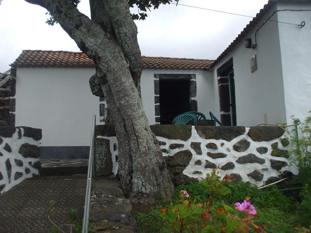 Villa Adega Do Batista Calheta  Camera foto